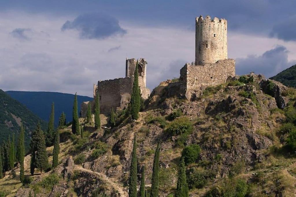 Maison Sur Les Hauteurs De Carcassonne Esterno foto