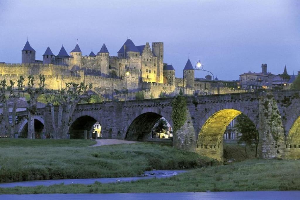 Maison Sur Les Hauteurs De Carcassonne Esterno foto